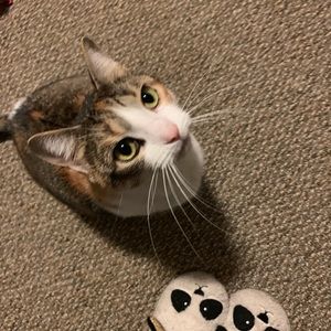 Meet your Posher, Kaitlyn